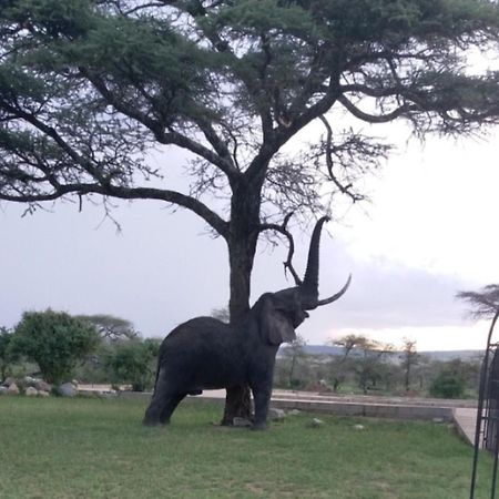 Seronera Wildlife Lodge Serengeti-Savanne Exterior foto